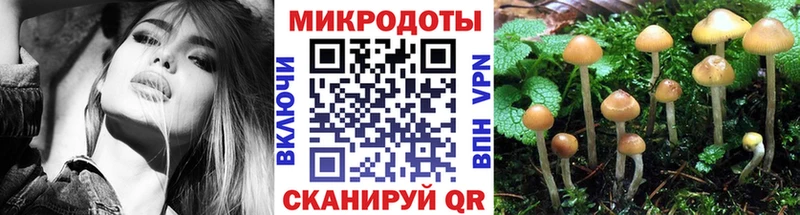 Псилоцибиновые грибы Cubensis  где купить наркоту  Отрадное 